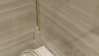和嫂子同居的日子最新安阳顶级丝袜骚逼